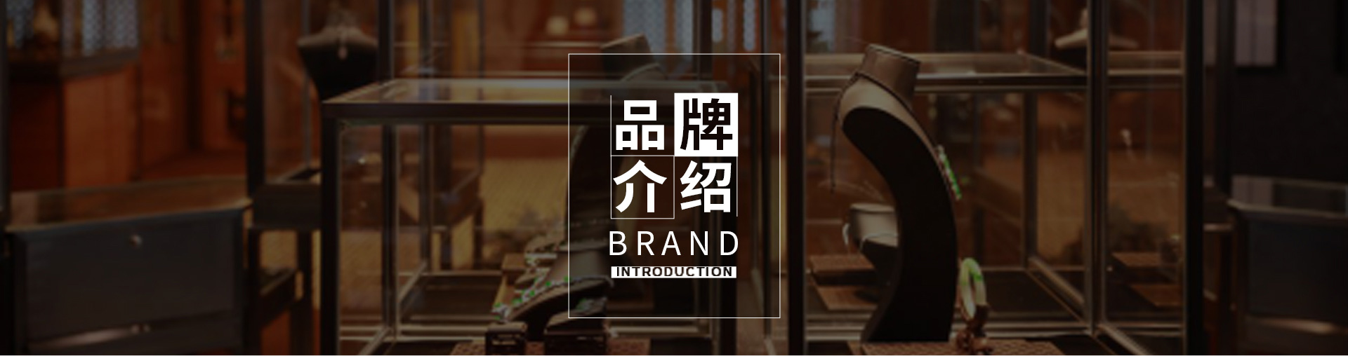 品牌介绍 品牌介绍